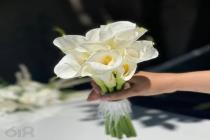 گل آرایی مهسا پرنی در آمل، بهترین خدمات گل آرایی آنلاین در آمل، دیزاین ماشین عروس در آمل و حومه، دیزاین دسته گل عروسی در آمل، انجام خدمات گل آرایی مجالس در آمل