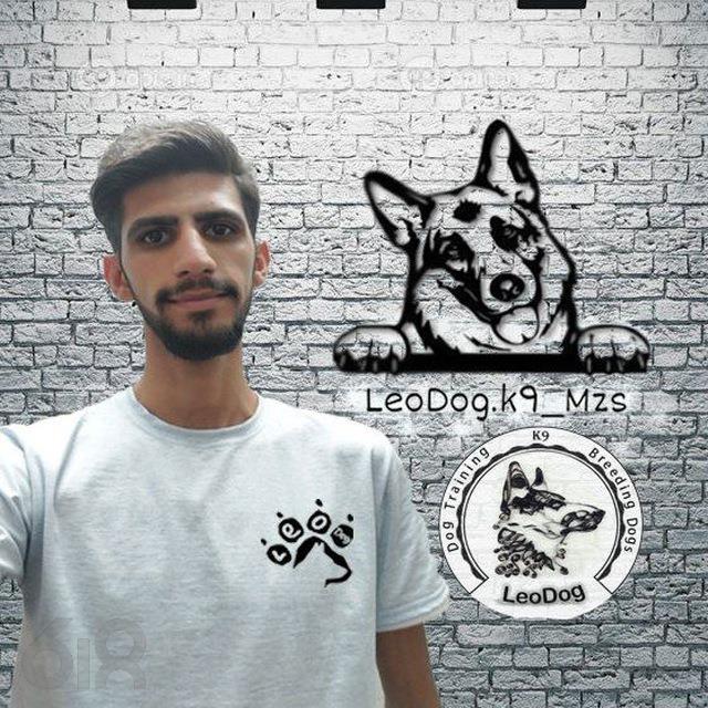 خدمات آموزش لئوداگ(LeoDog)در تهران، مربی و تعلیم دهنده تخصصی سگ در تهران، آموزش نگهداری و مراقبت سگ در جنوب تهران، صدور گواهی آموزش تربیت سگ در تهران