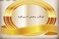 توکان پخش آسبیکوه در لرستان، پخش مواد غذایی 09168473701 در استان لرستان، بهترین نماینده عمده فروش مواد غذایی در لرستان، عمده فروشی و پخش انواع مواد غذایی در خرم آباد