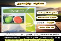خرید بذر گوجه فرنگی در دزفول، بهترین خدمات کشاورزی در دزفول، آدرس بذرایراندز کجاست، بذر کشاورزی مطمئن در خوزستان از کجا بخرم، بهترین بذرهای صیفی جات هیبرید در ایران