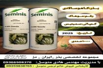 خرید بذر گوجه فرنگی در دزفول، بهترین خدمات کشاورزی در دزفول، آدرس بذرایراندز کجاست، بذر کشاورزی مطمئن در خوزستان از کجا بخرم، بهترین بذرهای صیفی جات هیبرید در ایران
