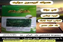 خرید بذر گوجه فرنگی در دزفول، بهترین خدمات کشاورزی در دزفول، آدرس بذرایراندز کجاست، بذر کشاورزی مطمئن در خوزستان از کجا بخرم، بهترین بذرهای صیفی جات هیبرید در ایران