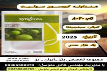 خرید بذر گوجه فرنگی در دزفول، بهترین خدمات کشاورزی در دزفول، آدرس بذرایراندز کجاست، بذر کشاورزی مطمئن در خوزستان از کجا بخرم، بهترین بذرهای صیفی جات هیبرید در ایران