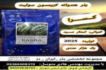 خرید بذر گوجه فرنگی در دزفول، بهترین خدمات کشاورزی در دزفول، آدرس بذرایراندز کجاست، بذر کشاورزی مطمئن در خوزستان از کجا بخرم، بهترین بذرهای صیفی جات هیبرید در ایران