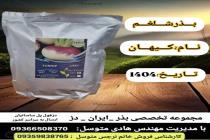 خرید بذر گوجه فرنگی در دزفول، بهترین خدمات کشاورزی در دزفول، آدرس بذرایراندز کجاست، بذر کشاورزی مطمئن در خوزستان از کجا بخرم، بهترین بذرهای صیفی جات هیبرید در ایران