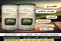 خرید بذر گوجه فرنگی در دزفول، بهترین خدمات کشاورزی در دزفول، آدرس بذرایراندز کجاست، بذر کشاورزی مطمئن در خوزستان از کجا بخرم، بهترین بذرهای صیفی جات هیبرید در ایران