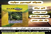 خرید بذر گوجه فرنگی در دزفول، بهترین خدمات کشاورزی در دزفول، آدرس بذرایراندز کجاست، بذر کشاورزی مطمئن در خوزستان از کجا بخرم، بهترین بذرهای صیفی جات هیبرید در ایران