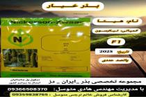 خرید بذر گوجه فرنگی در دزفول، بهترین خدمات کشاورزی در دزفول، آدرس بذرایراندز کجاست، بذر کشاورزی مطمئن در خوزستان از کجا بخرم، بهترین بذرهای صیفی جات هیبرید در ایران