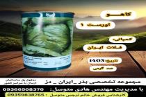 خرید بذر گوجه فرنگی در دزفول، بهترین خدمات کشاورزی در دزفول، آدرس بذرایراندز کجاست، بذر کشاورزی مطمئن در خوزستان از کجا بخرم، بهترین بذرهای صیفی جات هیبرید در ایران