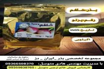 خرید بذر گوجه فرنگی در دزفول، بهترین خدمات کشاورزی در دزفول، آدرس بذرایراندز کجاست، بذر کشاورزی مطمئن در خوزستان از کجا بخرم، بهترین بذرهای صیفی جات هیبرید در ایران