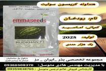 خرید بذر گوجه فرنگی در دزفول، بهترین خدمات کشاورزی در دزفول، آدرس بذرایراندز کجاست، بذر کشاورزی مطمئن در خوزستان از کجا بخرم، بهترین بذرهای صیفی جات هیبرید در ایران
