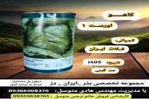 خرید بذر گوجه فرنگی در دزفول، بهترین خدمات کشاورزی در دزفول، آدرس بذرایراندز کجاست، بذر کشاورزی مطمئن در خوزستان از کجا بخرم، بهترین بذرهای صیفی جات هیبرید در ایران