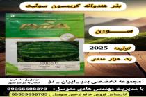 خرید بذر گوجه فرنگی در دزفول، بهترین خدمات کشاورزی در دزفول، آدرس بذرایراندز کجاست، بذر کشاورزی مطمئن در خوزستان از کجا بخرم، بهترین بذرهای صیفی جات هیبرید در ایران
