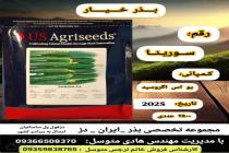 خرید بذر گوجه فرنگی در دزفول، بهترین خدمات کشاورزی در دزفول، آدرس بذرایراندز کجاست، بذر کشاورزی مطمئن در خوزستان از کجا بخرم، بهترین بذرهای صیفی جات هیبرید در ایران