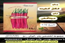 خرید بذر گوجه فرنگی در دزفول، بهترین خدمات کشاورزی در دزفول، آدرس بذرایراندز کجاست، بذر کشاورزی مطمئن در خوزستان از کجا بخرم، بهترین بذرهای صیفی جات هیبرید در ایران