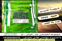 خرید بذر گوجه فرنگی در دزفول، بهترین خدمات کشاورزی در دزفول، آدرس بذرایراندز کجاست، بذر کشاورزی مطمئن در خوزستان از کجا بخرم، بهترین بذرهای صیفی جات هیبرید در ایران