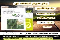 خرید بذر گوجه فرنگی در دزفول، بهترین خدمات کشاورزی در دزفول، آدرس بذرایراندز کجاست، بذر کشاورزی مطمئن در خوزستان از کجا بخرم، بهترین بذرهای صیفی جات هیبرید در ایران