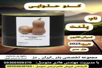 خرید بذر گوجه فرنگی در دزفول، بهترین خدمات کشاورزی در دزفول، آدرس بذرایراندز کجاست، بذر کشاورزی مطمئن در خوزستان از کجا بخرم، بهترین بذرهای صیفی جات هیبرید در ایران