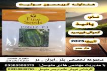 خرید بذر گوجه فرنگی در دزفول، بهترین خدمات کشاورزی در دزفول، آدرس بذرایراندز کجاست، بذر کشاورزی مطمئن در خوزستان از کجا بخرم، بهترین بذرهای صیفی جات هیبرید در ایران