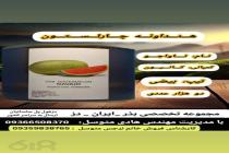 خرید بذر گوجه فرنگی در دزفول، بهترین خدمات کشاورزی در دزفول، آدرس بذرایراندز کجاست، بذر کشاورزی مطمئن در خوزستان از کجا بخرم، بهترین بذرهای صیفی جات هیبرید در ایران