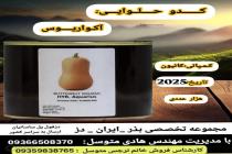 خرید بذر گوجه فرنگی در دزفول، بهترین خدمات کشاورزی در دزفول، آدرس بذرایراندز کجاست، بذر کشاورزی مطمئن در خوزستان از کجا بخرم، بهترین بذرهای صیفی جات هیبرید در ایران
