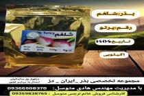 خرید بذر گوجه فرنگی در دزفول، بهترین خدمات کشاورزی در دزفول، آدرس بذرایراندز کجاست، بذر کشاورزی مطمئن در خوزستان از کجا بخرم، بهترین بذرهای صیفی جات هیبرید در ایران