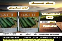 خرید بذر گوجه فرنگی در دزفول، بهترین خدمات کشاورزی در دزفول، آدرس بذرایراندز کجاست، بذر کشاورزی مطمئن در خوزستان از کجا بخرم، بهترین بذرهای صیفی جات هیبرید در ایران