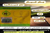 خرید بذر گوجه فرنگی در دزفول، بهترین خدمات کشاورزی در دزفول، آدرس بذرایراندز کجاست، بذر کشاورزی مطمئن در خوزستان از کجا بخرم، بهترین بذرهای صیفی جات هیبرید در ایران