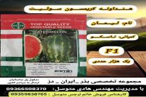 خرید بذر گوجه فرنگی در دزفول، بهترین خدمات کشاورزی در دزفول، آدرس بذرایراندز کجاست، بذر کشاورزی مطمئن در خوزستان از کجا بخرم، بهترین بذرهای صیفی جات هیبرید در ایران