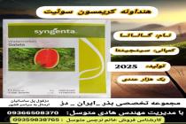 خرید بذر گوجه فرنگی در دزفول، بهترین خدمات کشاورزی در دزفول، آدرس بذرایراندز کجاست، بذر کشاورزی مطمئن در خوزستان از کجا بخرم، بهترین بذرهای صیفی جات هیبرید در ایران