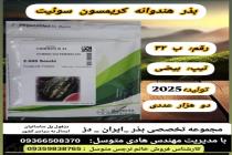 خرید بذر گوجه فرنگی در دزفول، بهترین خدمات کشاورزی در دزفول، آدرس بذرایراندز کجاست، بذر کشاورزی مطمئن در خوزستان از کجا بخرم، بهترین بذرهای صیفی جات هیبرید در ایران