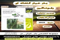 خرید بذر گوجه فرنگی در دزفول، بهترین خدمات کشاورزی در دزفول، آدرس بذرایراندز کجاست، بذر کشاورزی مطمئن در خوزستان از کجا بخرم، بهترین بذرهای صیفی جات هیبرید در ایران