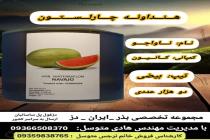 خرید بذر گوجه فرنگی در دزفول، بهترین خدمات کشاورزی در دزفول، آدرس بذرایراندز کجاست، بذر کشاورزی مطمئن در خوزستان از کجا بخرم، بهترین بذرهای صیفی جات هیبرید در ایران