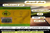 خرید بذر گوجه فرنگی در دزفول، بهترین خدمات کشاورزی در دزفول، آدرس بذرایراندز کجاست، بذر کشاورزی مطمئن در خوزستان از کجا بخرم، بهترین بذرهای صیفی جات هیبرید در ایران