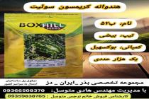 خرید بذر گوجه فرنگی در دزفول، بهترین خدمات کشاورزی در دزفول، آدرس بذرایراندز کجاست، بذر کشاورزی مطمئن در خوزستان از کجا بخرم، بهترین بذرهای صیفی جات هیبرید در ایران