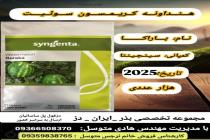 خرید بذر گوجه فرنگی در دزفول، بهترین خدمات کشاورزی در دزفول، آدرس بذرایراندز کجاست، بذر کشاورزی مطمئن در خوزستان از کجا بخرم، بهترین بذرهای صیفی جات هیبرید در ایران
