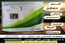 خرید بذر گوجه فرنگی در دزفول، بهترین خدمات کشاورزی در دزفول، آدرس بذرایراندز کجاست، بذر کشاورزی مطمئن در خوزستان از کجا بخرم، بهترین بذرهای صیفی جات هیبرید در ایران
