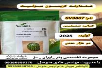 خرید بذر گوجه فرنگی در دزفول، بهترین خدمات کشاورزی در دزفول، آدرس بذرایراندز کجاست، بذر کشاورزی مطمئن در خوزستان از کجا بخرم، بهترین بذرهای صیفی جات هیبرید در ایران