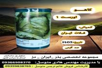 خرید بذر گوجه فرنگی در دزفول، بهترین خدمات کشاورزی در دزفول، آدرس بذرایراندز کجاست، بذر کشاورزی مطمئن در خوزستان از کجا بخرم، بهترین بذرهای صیفی جات هیبرید در ایران