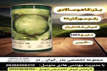 خرید بذر گوجه فرنگی در دزفول، بهترین خدمات کشاورزی در دزفول، آدرس بذرایراندز کجاست، بذر کشاورزی مطمئن در خوزستان از کجا بخرم، بهترین بذرهای صیفی جات هیبرید در ایران
