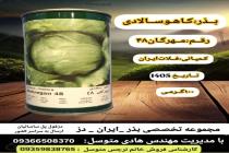 خرید بذر گوجه فرنگی در دزفول، بهترین خدمات کشاورزی در دزفول، آدرس بذرایراندز کجاست، بذر کشاورزی مطمئن در خوزستان از کجا بخرم، بهترین بذرهای صیفی جات هیبرید در ایران