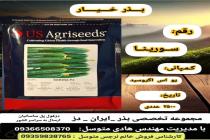 خرید بذر گوجه فرنگی در دزفول، بهترین خدمات کشاورزی در دزفول، آدرس بذرایراندز کجاست، بذر کشاورزی مطمئن در خوزستان از کجا بخرم، بهترین بذرهای صیفی جات هیبرید در ایران