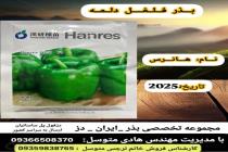 خرید بذر گوجه فرنگی در دزفول، بهترین خدمات کشاورزی در دزفول، آدرس بذرایراندز کجاست، بذر کشاورزی مطمئن در خوزستان از کجا بخرم، بهترین بذرهای صیفی جات هیبرید در ایران