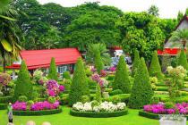 باغبانی و طراحی فضای سبز