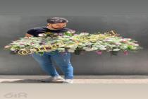 گل فروشی آنلاین در اصفهان و تشریفات آریِل در اصفهان