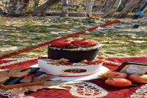 تولید و پخش انواع کیک‌ خانگی و خامه ای در مشهد