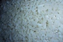 برنج ایرانی | برنج شالیکار | برنج مینودشت | پخش کلی و جزیی برنج
