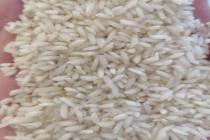 تولید کننده برنج عنبربو خلیلی در اهواز، فروش و پخش برنج عنبر بو با قیمت مناسب در اهواز، فروش عمده برنج با کیفیت در اهواز، فروش برنج عنبربو خوزستان به سرتاسر ایران