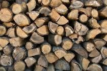 مجموعه چوب در بجنورد، بهترین مجموعه خرید و فروش کلی چوب بجنورد، خرید و فروش انواع چوب در بجنورد، خرید چوب آماده در بجنورد، خرید چوب از سر باغ بجنورد