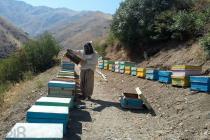 فروش و پخش عسل در مشهد